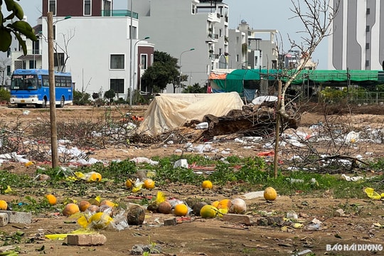Chợ hoa xuân ven đường Trường Chinh nhiều rác sau Tết