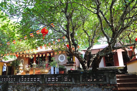 Chùa Ngũ Đài - chốn tổ linh thiêng, vị trí quan trọng trong Thiền phái Trúc Lâm
