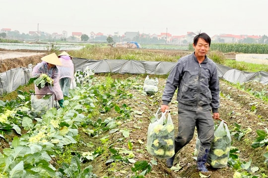Dự báo Hải Dương mưa rét trong những ngày tới