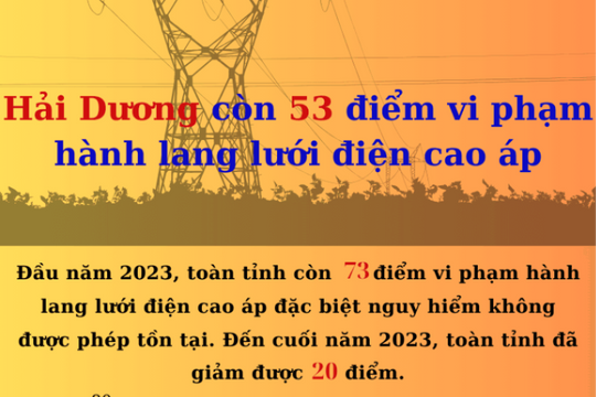Hải Dương còn 53 điểm vi phạm hành lang lưới điện cao áp