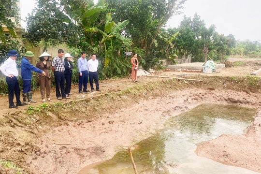 Tứ Kỳ thử nghiệm nuôi cà ra thương phẩm trong ao