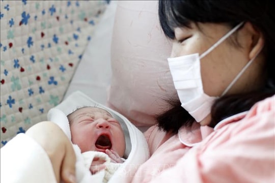 Tỷ lệ sinh ở Nhật Bản thấp kỷ lục