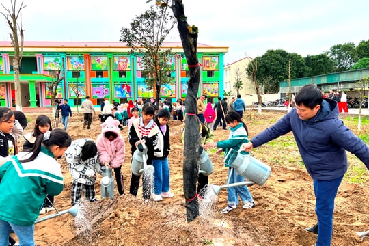 Cẩm Giàng trồng 60.000 cây xanh