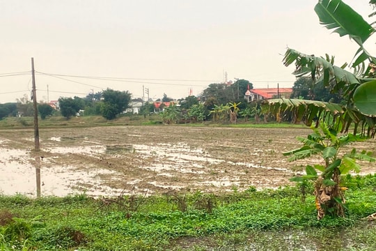 Chi cục Thuế khu vực Ninh Thanh cưỡng chế thuế Công ty Việt Hưng gần 197 tỷ đồng