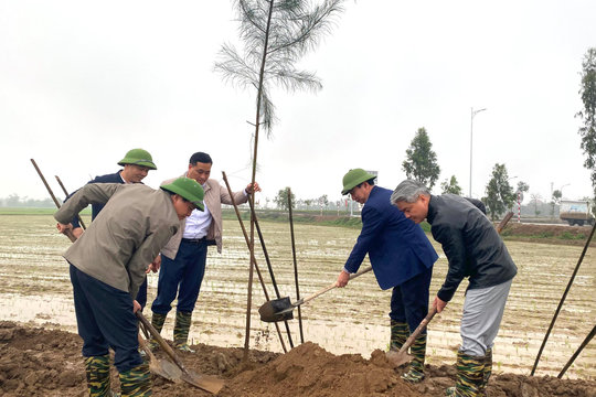 Kim Thành phấn đấu tăng 8 - 10 ha cây ăn quả có giá trị kinh tế cao