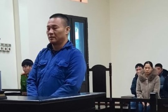Thuê vận chuyển rắn hổ mang chúa, Đào Văn Thiệu ở Bắc Giang lĩnh 14 tháng tù