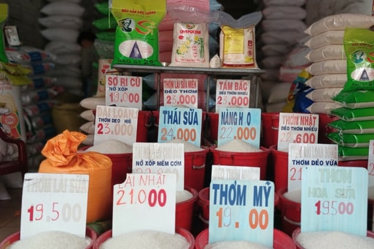 Giá lúa, gạo xuất khẩu lao dốc