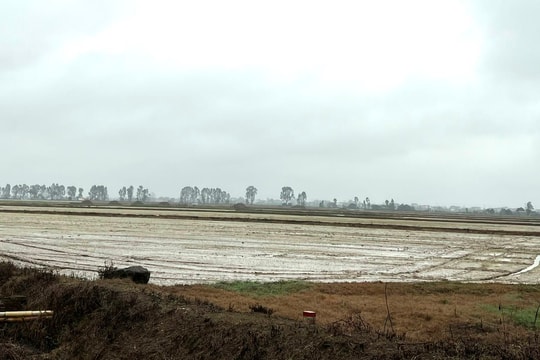 Phê duyệt quy hoạch khu dân cư mới phía đông nam thị trấn Gia Lộc rộng trên 22 ha