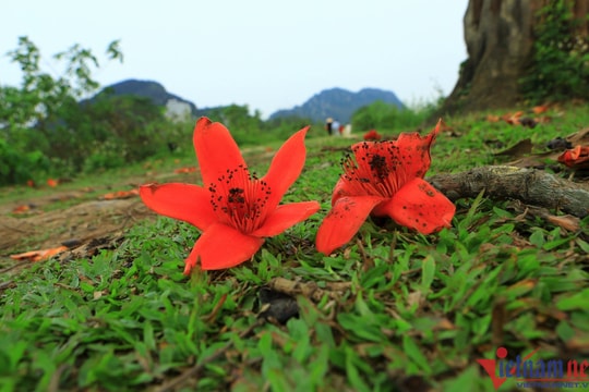 Về với tháng ba