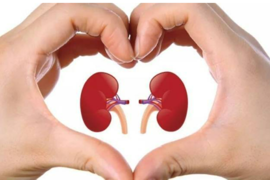 5 thói quen tốt vào buổi sáng để thận luôn khỏe mạnh
