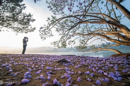 Da Lat honored with Asia Festival City Award