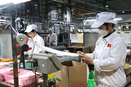 Lao động Hải Dương ít nhảy việc sau Tết