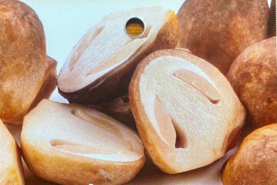 Giòn dai nấm rơm sạch Văn Long
