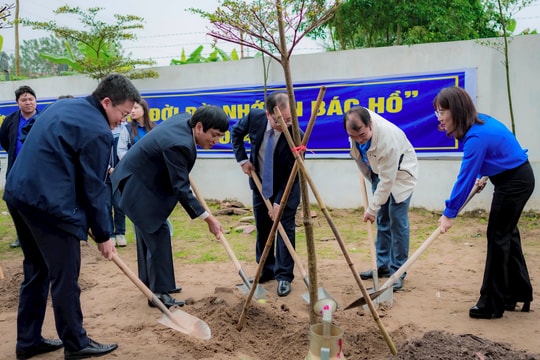 Thành đoàn Hải Dương trồng “Hàng cây thanh niên" khởi động Tháng Thanh niên năm 2024