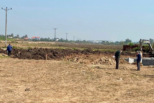 Tổng diện tích đất nông nghiệp của Hải Dương giảm hơn 624 ha