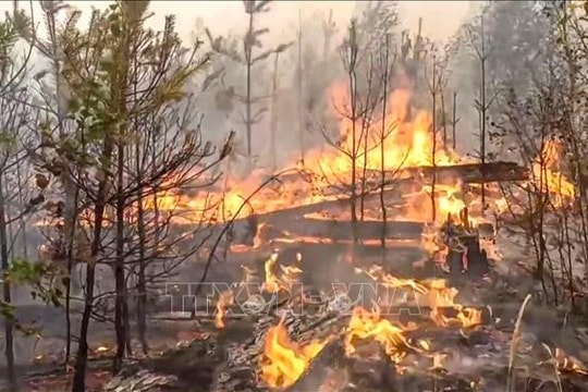 Nga: Cháy rừng đe dọa các khu bảo tồn thiên nhiên tại vùng Primorye