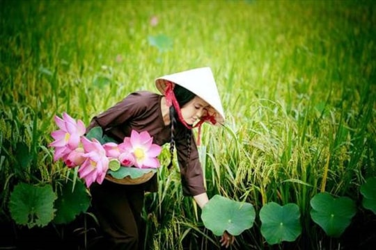 Mẹ và sen
