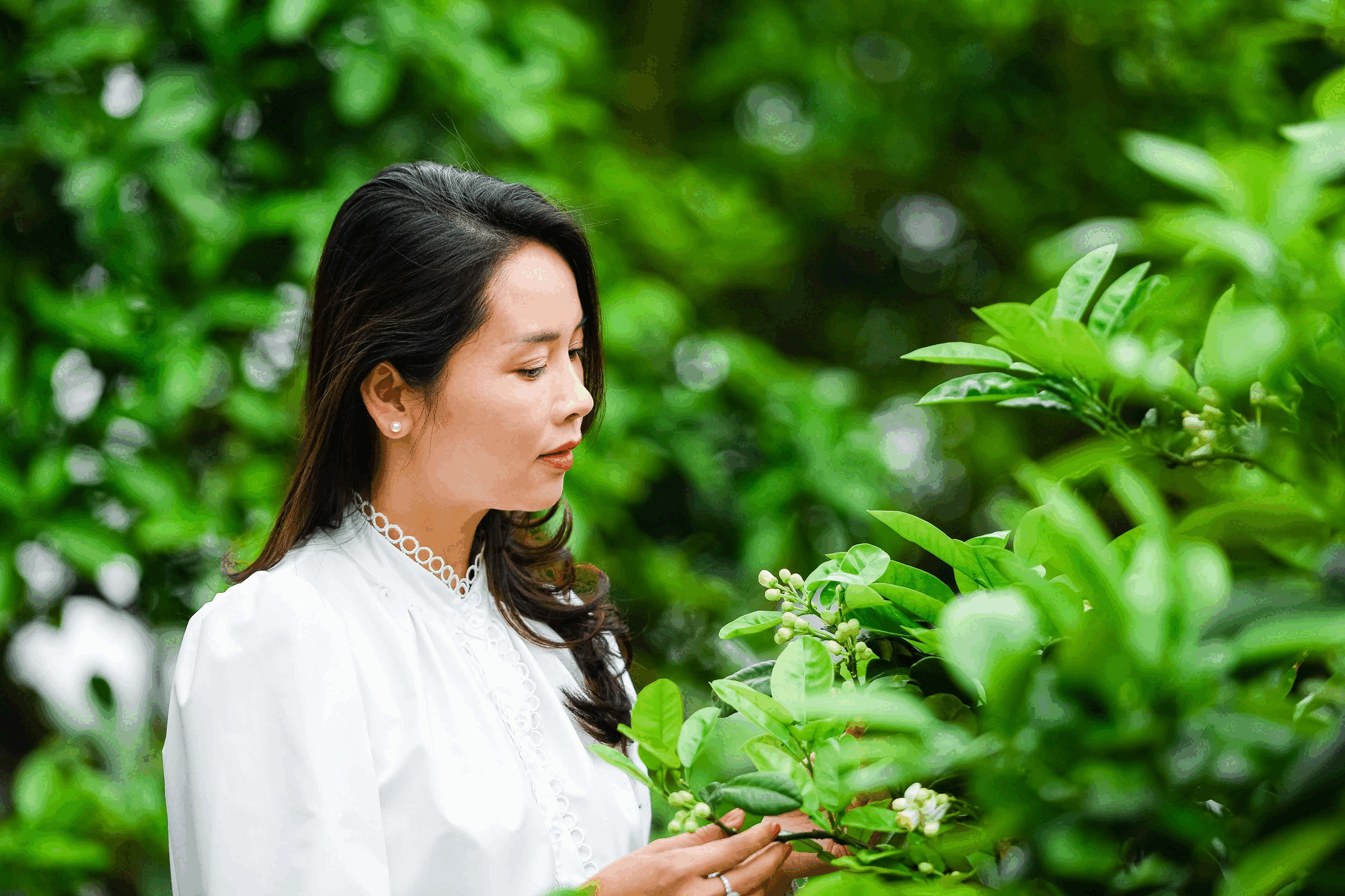 Mẹ và áo trắng ngày xưa