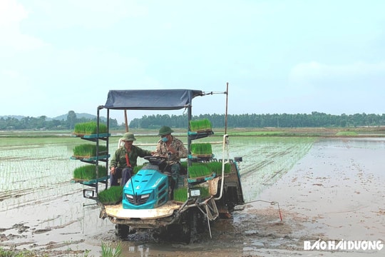 Viết ở làng tôi