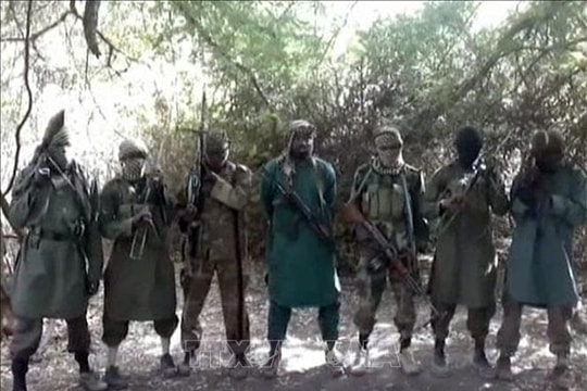Ít nhất 200 người bị các tay súng bắt cóc ở Đông Bắc Nigeria