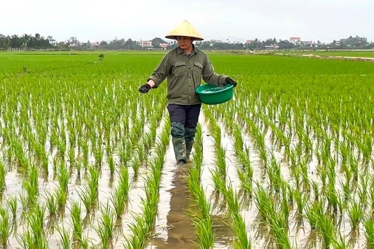 Kim Thành thêm 25 mô hình tích tụ ruộng đất