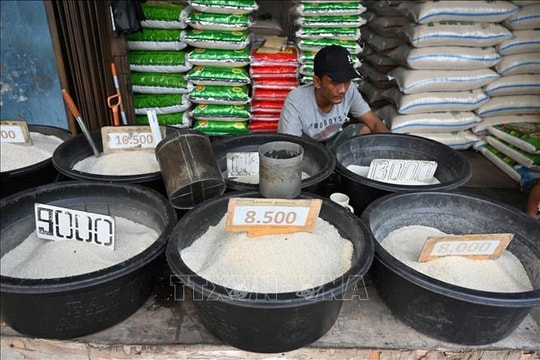 FAO: Chỉ số giá lương thực thế giới giảm tháng thứ 7 liên tiếp