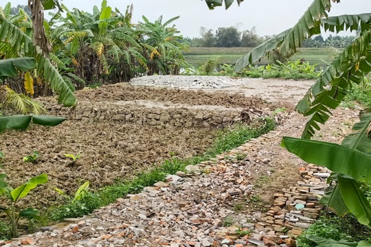 Một hộ dân ở Tứ Kỳ cố tình san lấp sát kênh Đĩnh Đào