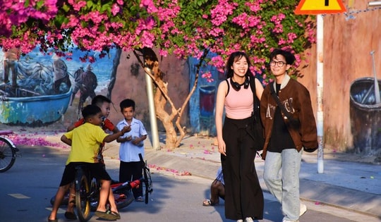 Mê mẩn với hoa giấy, hoa xoài tại Khánh Hòa