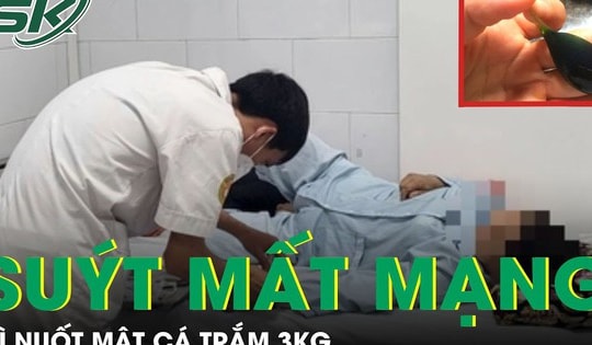 Nuốt mật cá trắm 3kg, một phụ nữ ở Hải Dương suýt mất mạng