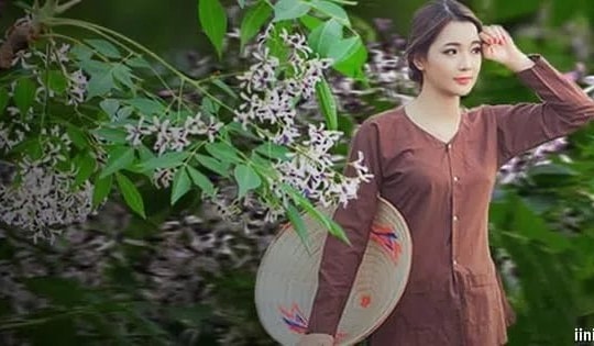 Mưa Xuân - Nỗi buồn một chuyện tình dang dở