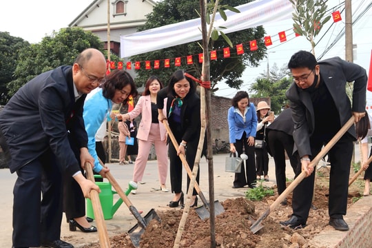 Phụ nữ Hải Dương trồng cây xanh - vun đắp tương lai