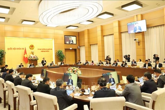 Xử lý triệt để tình trạng bỏ cọc sau khi trúng đấu giá đất