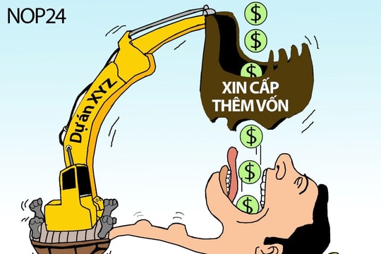 Rùa "ăn" vốn