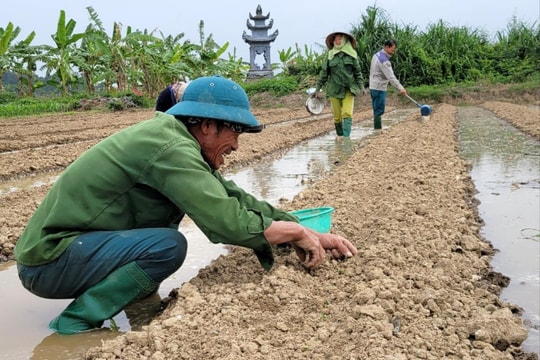 Hải Dương hỗ trợ 80% người nghèo tăng năng lực sản xuất