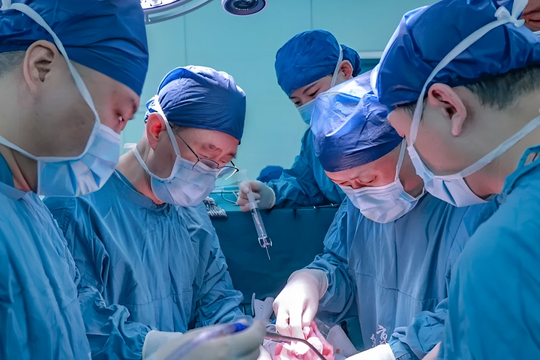 Trung Quốc ghép thành công gan lợn cho người chết não