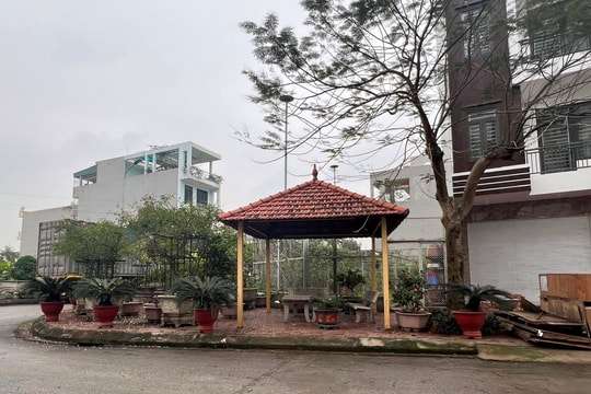 Lấn chiếm vỉa hè trồng rau, xây chòi tại khu đô thị Việt Hòa