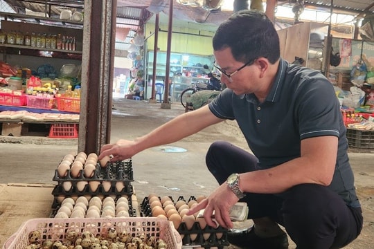 Giá trứng gia cầm giảm không bất thường