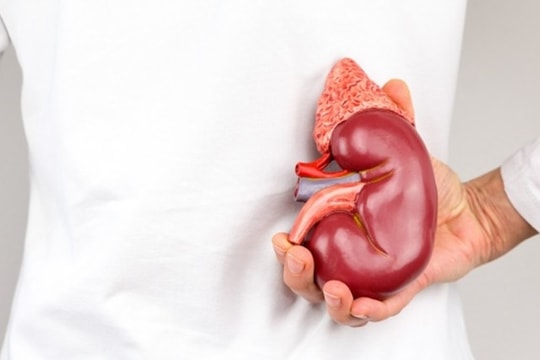 Hy hữu, người đàn ông ở Bến Tre 50 tuổi mới biết mình chỉ có một quả thận