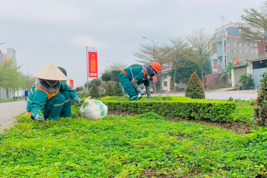 Chí Linh chung tay cho thành phố thêm xanh