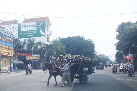 Xe ngựa kéo vẫn dọc ngang trên đường tỉnh 390