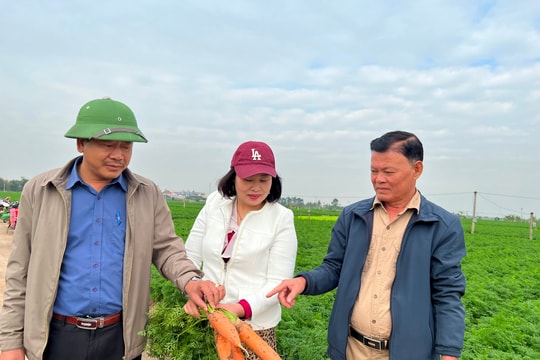 Cẩm Giàng đạt 5 tiêu chí huyện nông thôn mới nâng cao