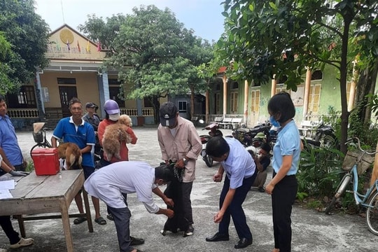 190 người ở Hải Dương bị chó, mèo tấn công phải đi tiêm phòng dại