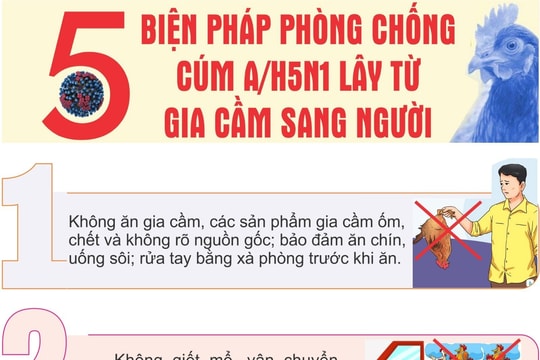 5 biện pháp phòng chống cúm A/H5N1 lây từ gia cầm sang người