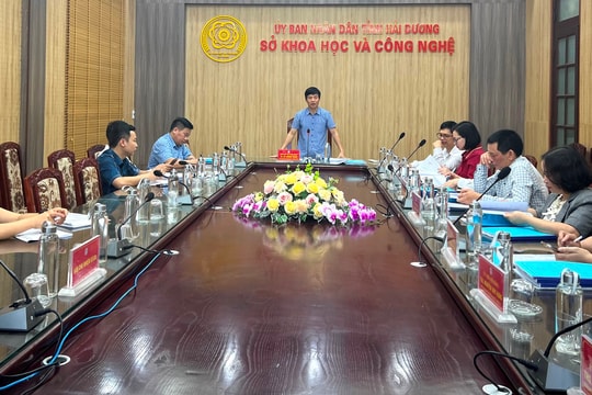 Phục tráng thành công và xây dựng quy trình canh tác mới cho lúa nếp cái hoa vàng Kinh Môn