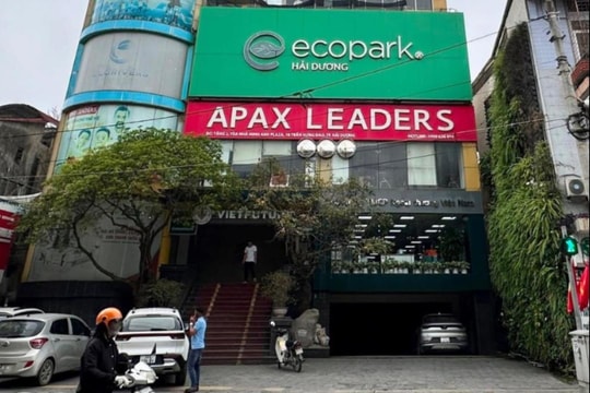 “Shark” Thủy bị bắt, Apax Leaders tại Hải Dương giờ ra sao?