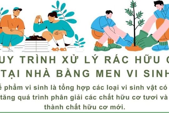 Quy trình xử lý rác hữu cơ tại nhà bằng men vi sinh
