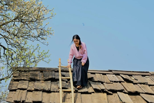 Du khách leo nóc nhà, săn ảnh hoa sơn tra "view triệu đô" ở Sơn La