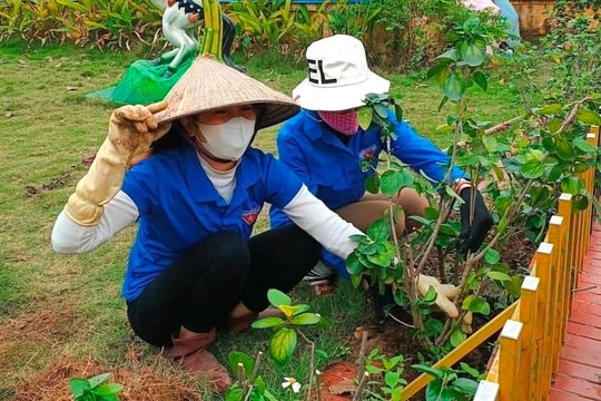 Gia Lộc nhiều năm liền vượt kế hoạch trồng cây