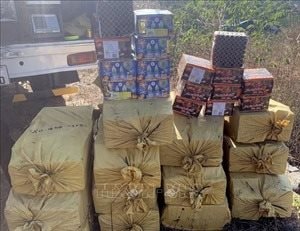 Danh mục 9 loại hàng nguy hiểm