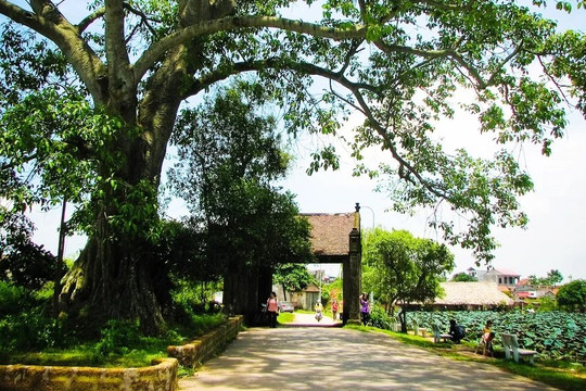 Gặp ở Đường Lâm